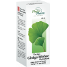 Tinctura Ginkgo bilobae Phytopharm, 4,525g/5ml Płyn doustny 100ml