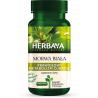 Herbaya Morwa biała prawidłowy metabolizm cukrów 60 kapsułek