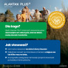 Alantan Plus maść 100g