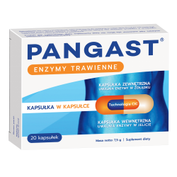 Pangast 20 kapsułek