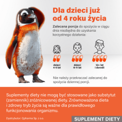 Padma Basic 100 kapsułek