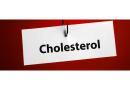 Cholesterol - funkcje i wpływ na zdrowie