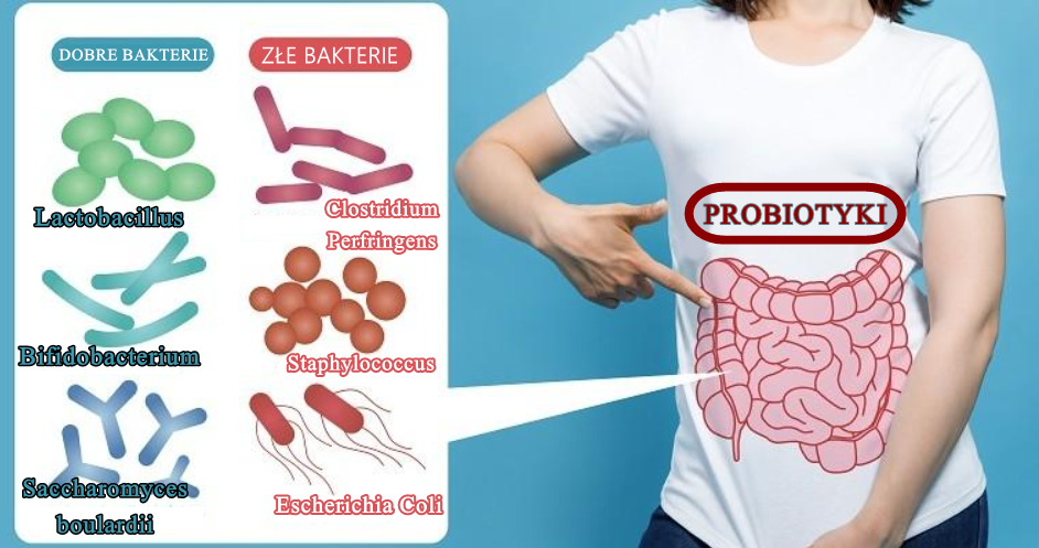 probiotyki-w-organizmie
